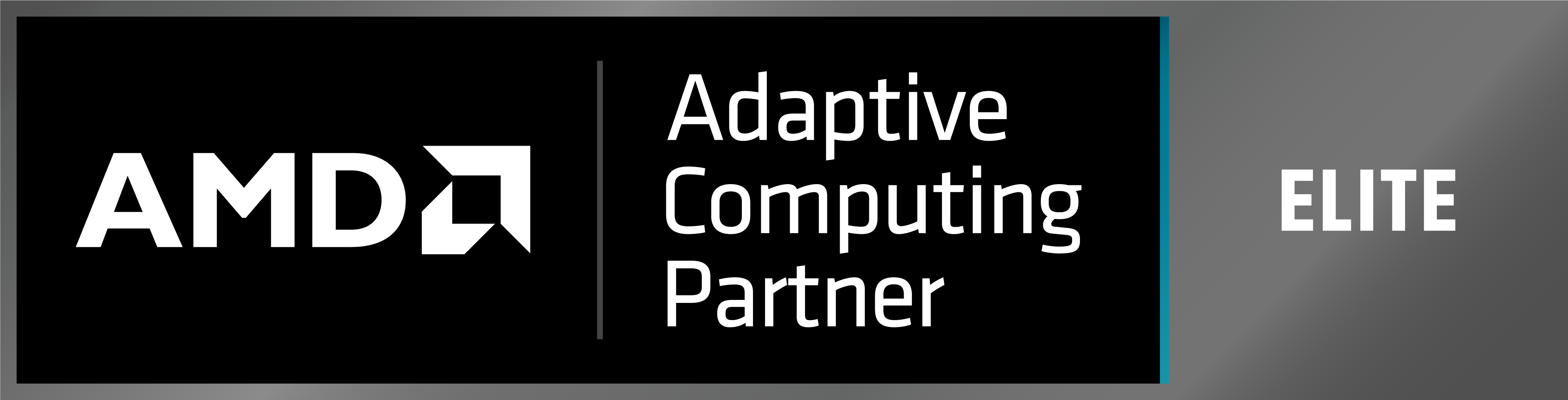 Elite ACP AMD